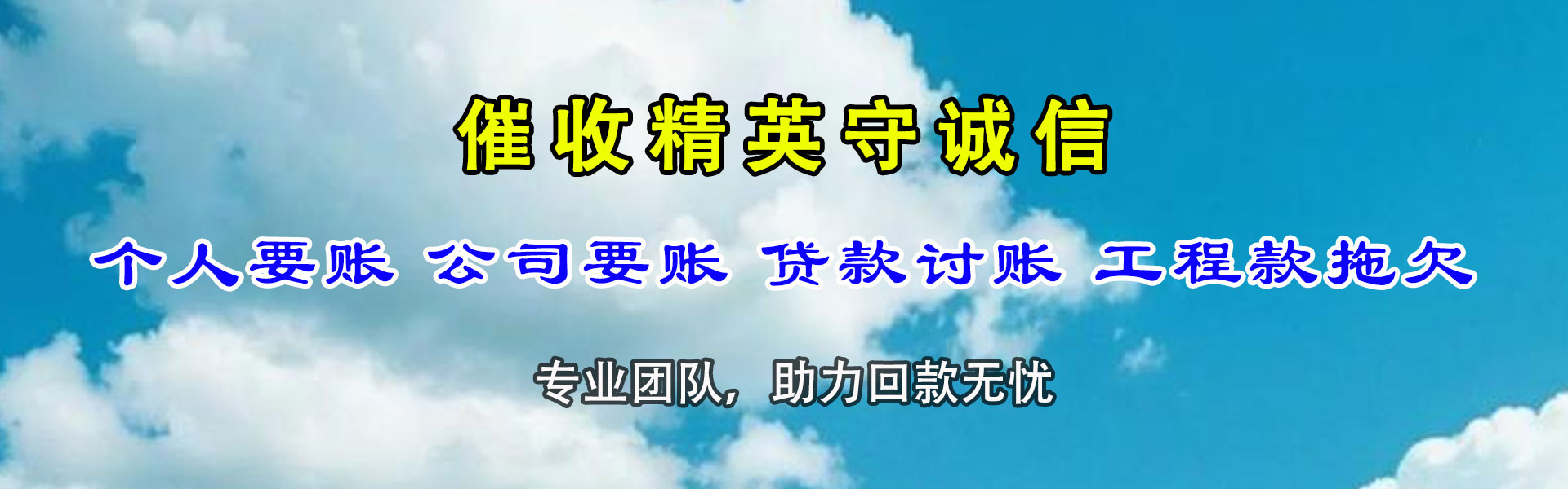 庐阳催数公司